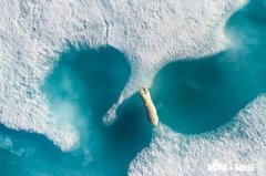 2018年最佳无人机拍摄照片评奖结果出炉，作品都有哪些