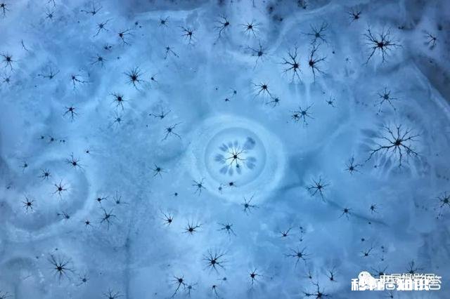 2018年最佳无人机拍摄照片评奖结果出炉，作品都有哪些