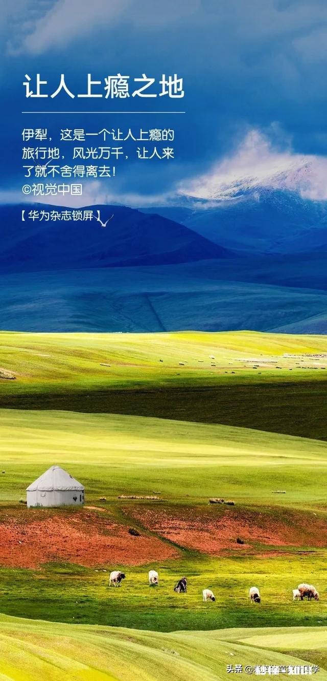 有卖保险的去你家吗,经常去怎么破