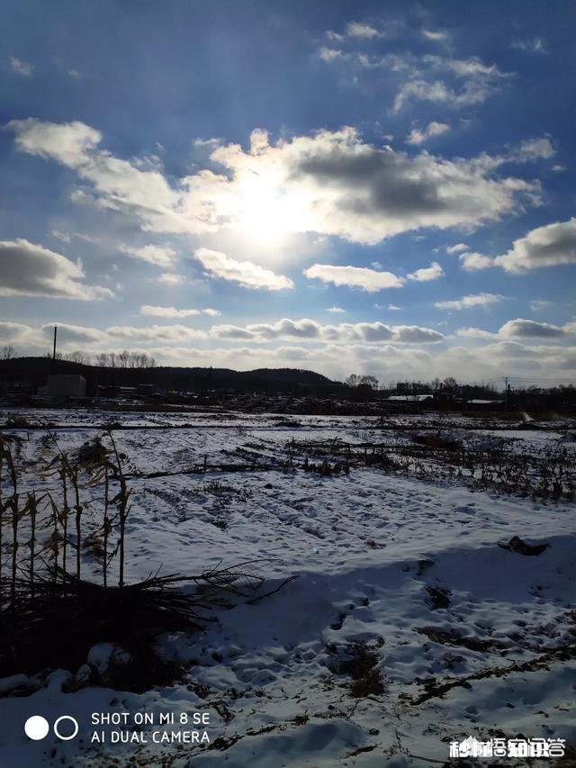 作为摄影爱好者，过年时有亲戚家的熊孩子摔坏了你的相机，删了重要的照片，你会怎么做