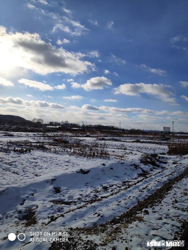 作为摄影爱好者，过年时有亲戚家的熊孩子摔坏了你的相机，删了重要的照片，你会怎么做