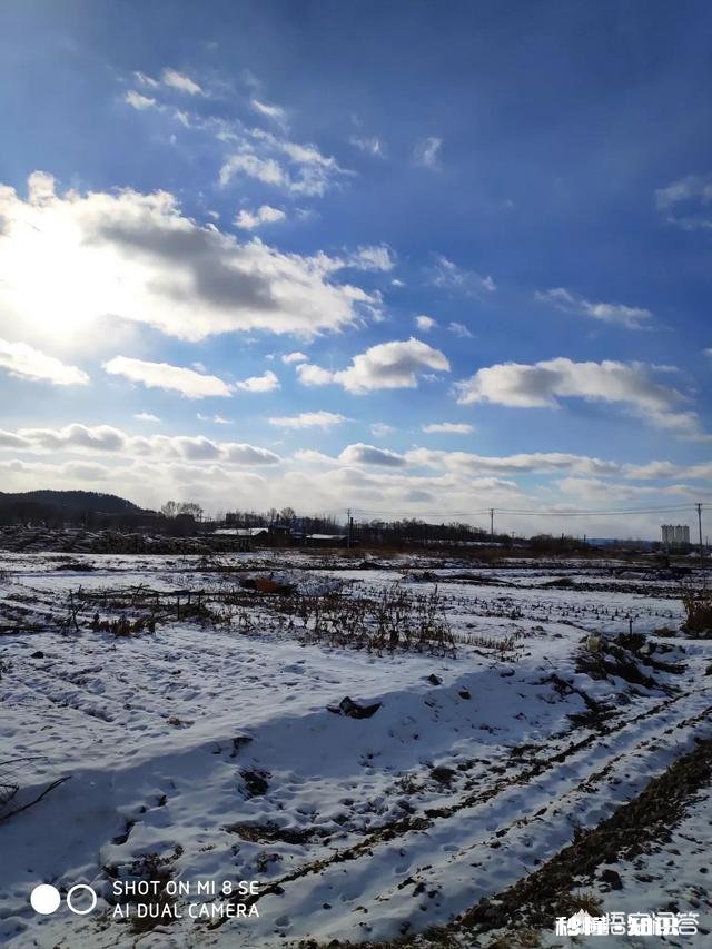 作为摄影爱好者，过年时有亲戚家的熊孩子摔坏了你的相机，删了重要的照片，你会怎么做