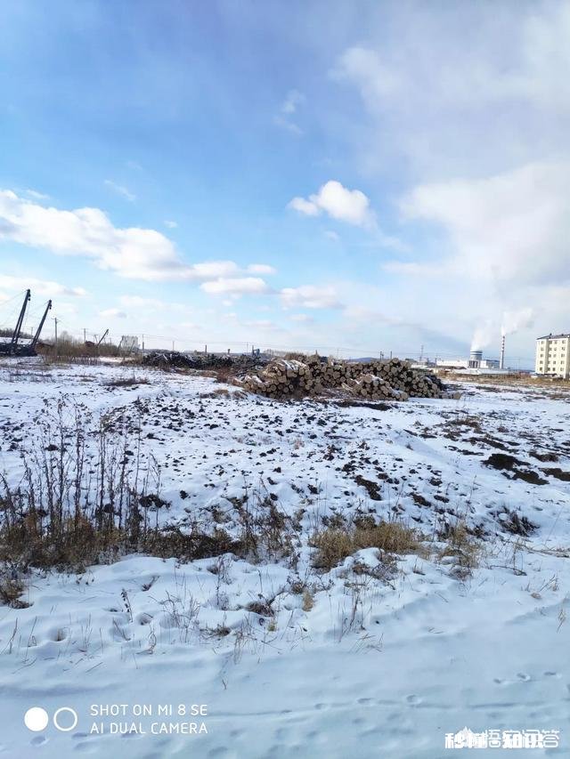 作为摄影爱好者，过年时有亲戚家的熊孩子摔坏了你的相机，删了重要的照片，你会怎么做