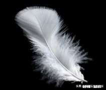 怎样搞好夫妻关系一方有了第三者如何解决