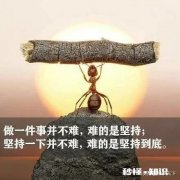 家里穷没钱吃饭怎么办