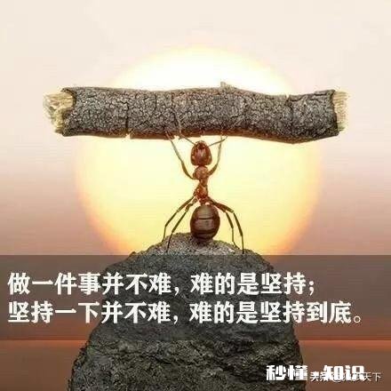 家里穷没钱吃饭怎么办