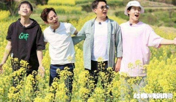 同样是回归农村，《哈哈农夫》收视率为何不如《向往的生活》