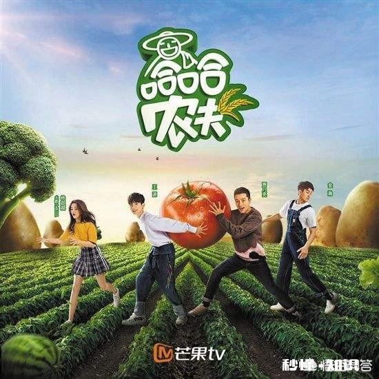 同样是回归农村，《哈哈农夫》收视率为何不如《向往的生活》