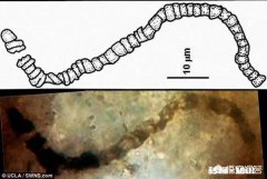 你认为外星人来过地球吗