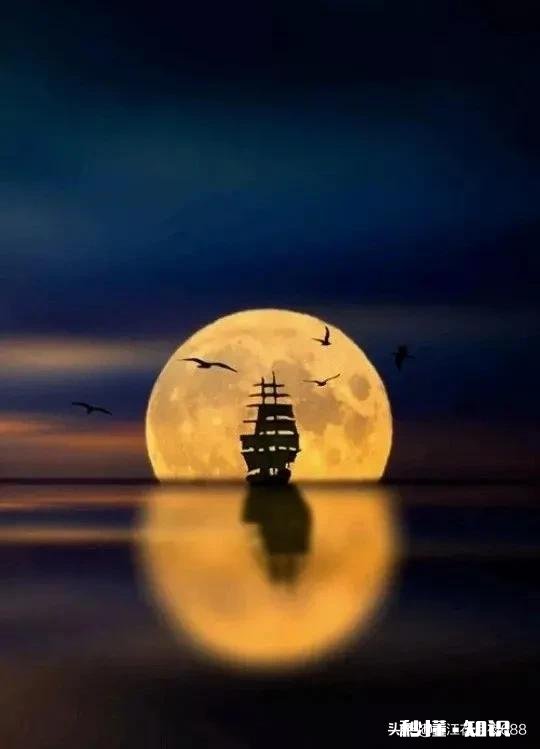 功高震主，该如何善终呢