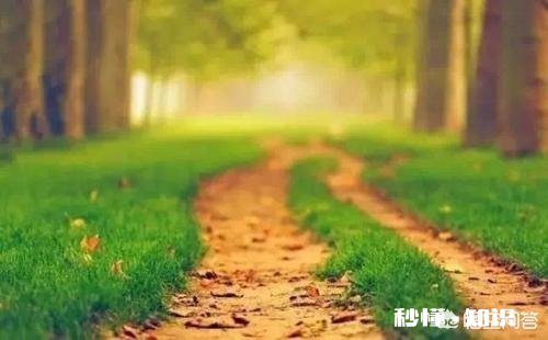 创业的路上的苦,你们是怎么走过来的多少次的想放弃然后再咬咬牙坚持住