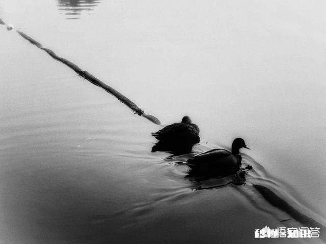 怎么看待数码摄影后期过程中的二次构图