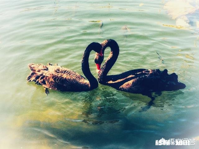 怎么看待数码摄影后期过程中的二次构图