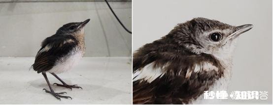 怎么看待数码摄影后期过程中的二次构图