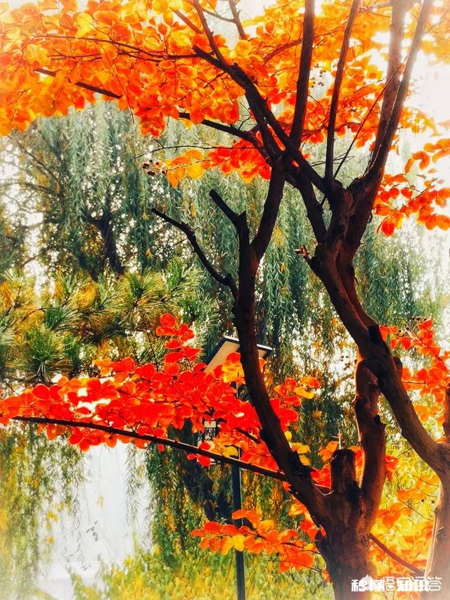 怎么看待数码摄影后期过程中的二次构图