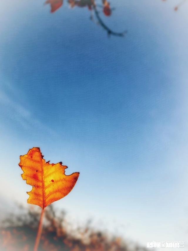 怎么看待数码摄影后期过程中的二次构图