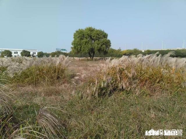 怎么看待数码摄影后期过程中的二次构图