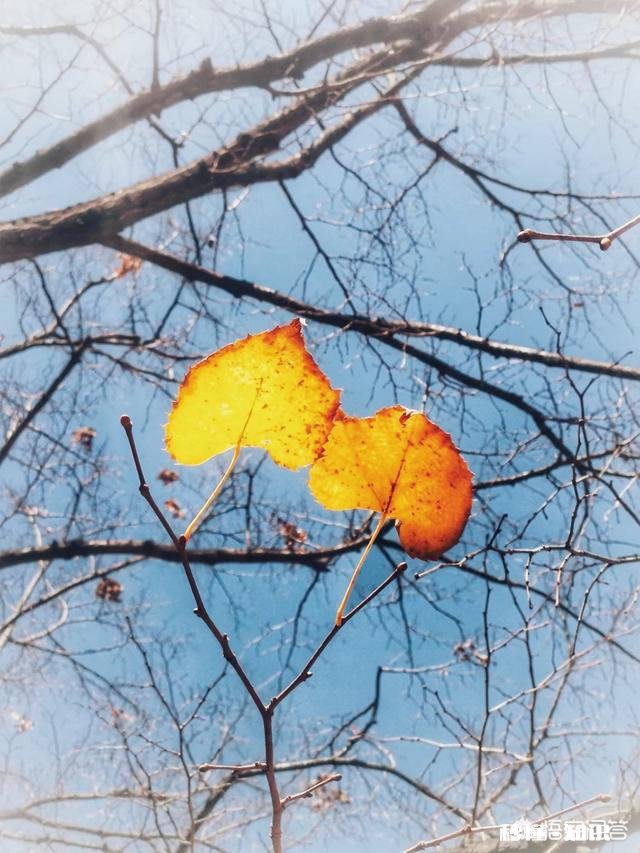 怎么看待数码摄影后期过程中的二次构图