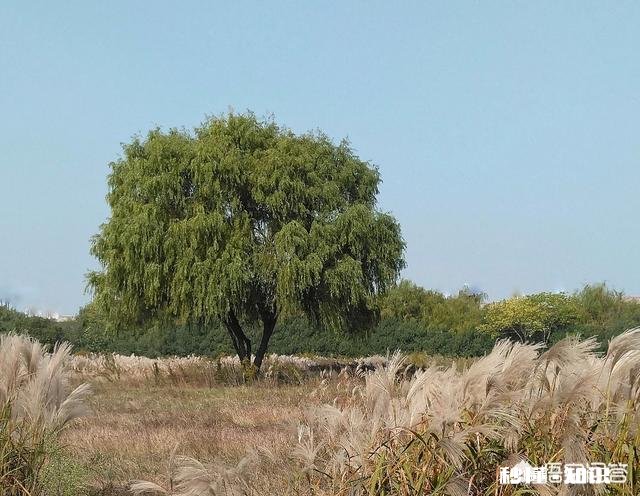 怎么看待数码摄影后期过程中的二次构图