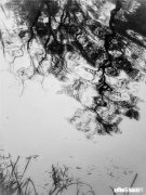 怎么看待数码摄影后期过程中的二次构图