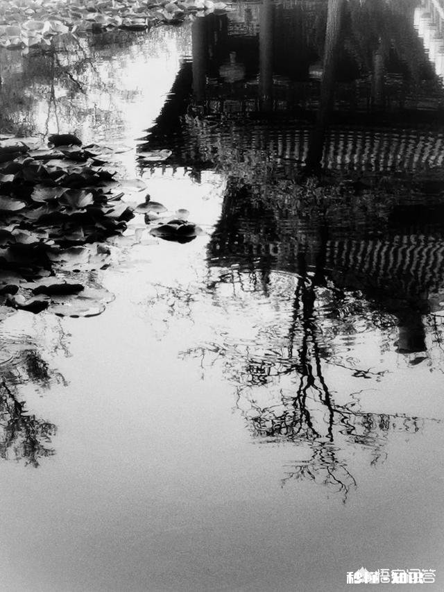 怎么看待数码摄影后期过程中的二次构图