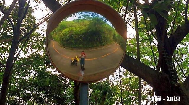 你们会带不满一岁的宝宝去旅游吗