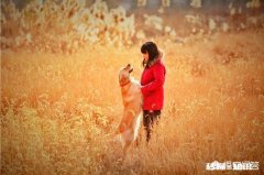 自由摄影师如何能赚到钱