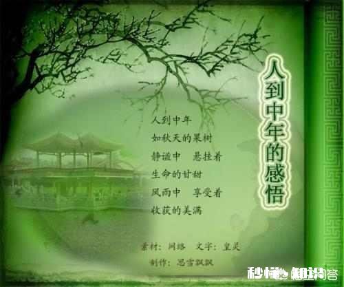 轰轰烈烈的青春伤痕累累和小心翼翼的日子平平淡淡，你会选择哪一个