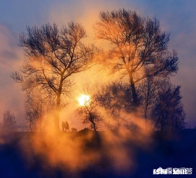长焦镜头适合拍摄哪些题材的照片如何利用好