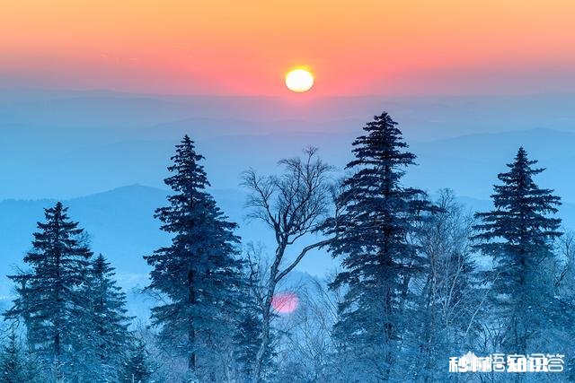 长焦镜头适合拍摄哪些题材的照片如何利用好