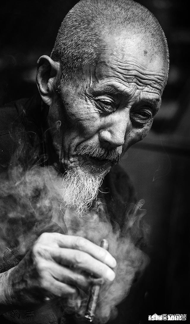 长焦镜头适合拍摄哪些题材的照片如何利用好