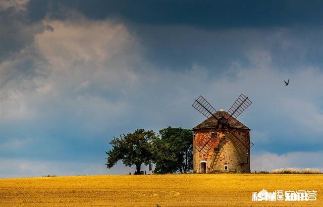 长焦镜头适合拍摄哪些题材的照片如何利用好