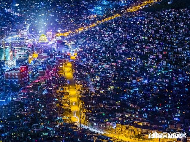 长焦镜头适合拍摄哪些题材的照片如何利用好