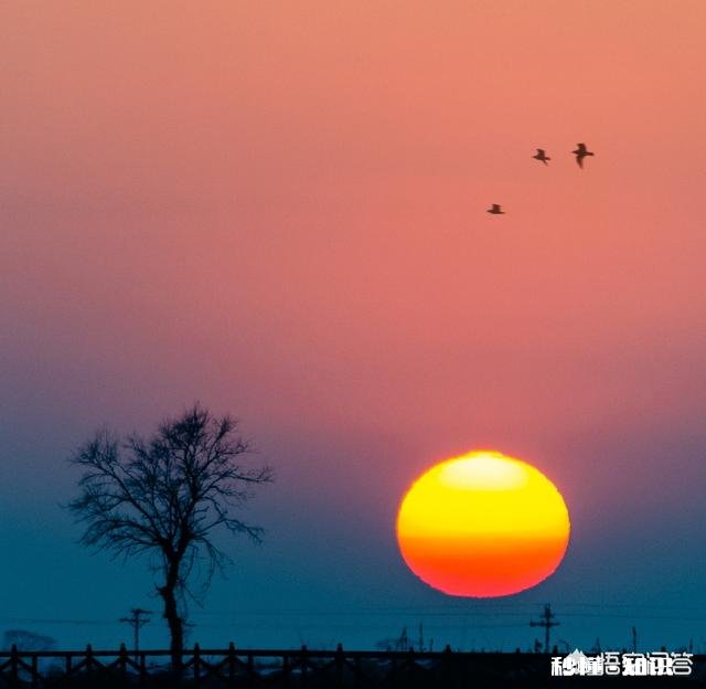 长焦镜头适合拍摄哪些题材的照片如何利用好