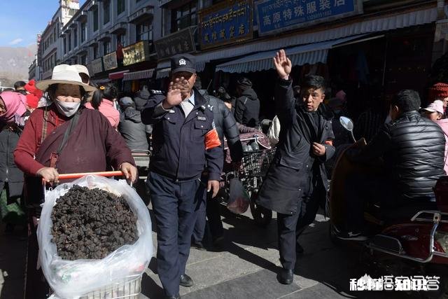 长焦镜头适合拍摄哪些题材的照片如何利用好