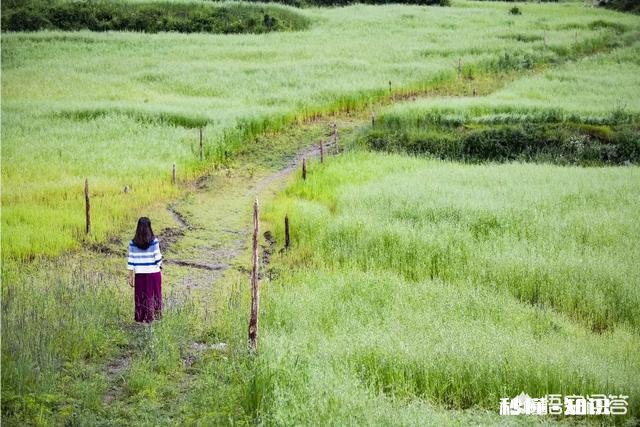 长焦镜头适合拍摄哪些题材的照片如何利用好