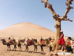 当你的头条号阅读量，突然暴增，粉丝数量暴涨的时候，你是什么感受