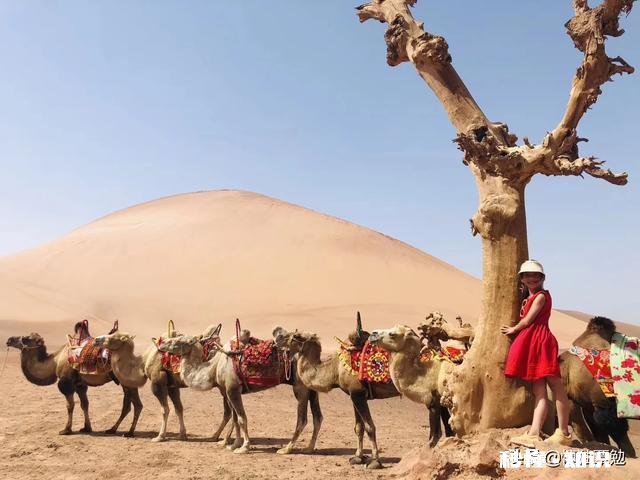 当你的头条号阅读量，突然暴增，粉丝数量暴涨的时候，你是什么感受