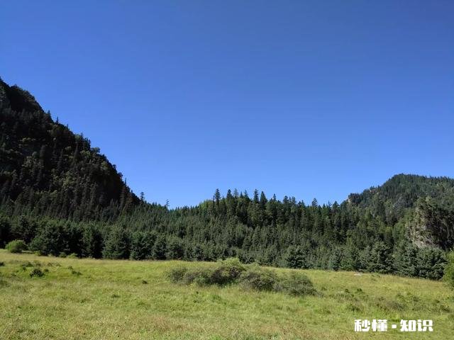 旅游去哪里感觉很值，有机会再想去一次