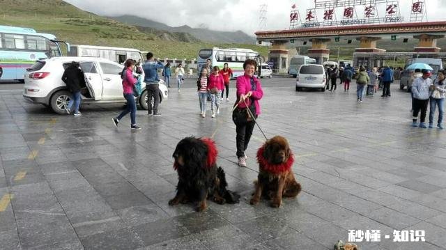 旅游去哪里感觉很值，有机会再想去一次