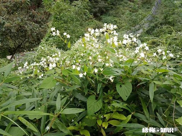 旅游去哪里感觉很值，有机会再想去一次