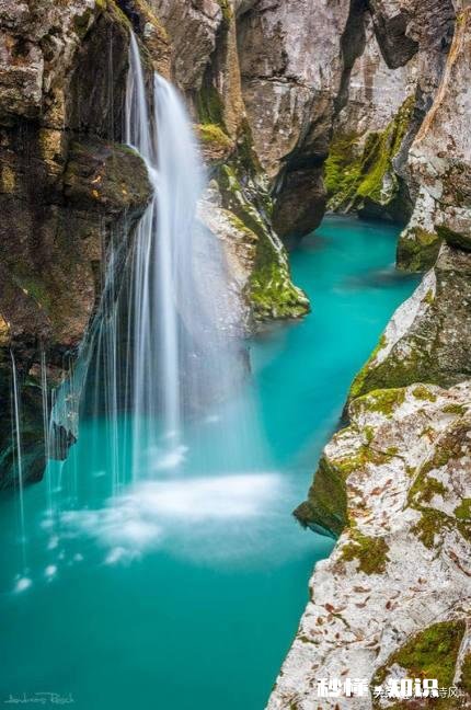 为什么有些小时候不喜欢的东西，长大了却喜欢了