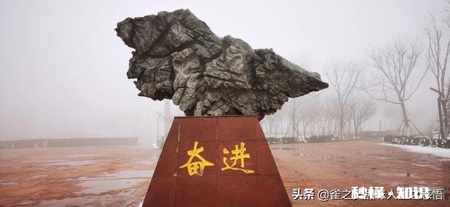 为什么有些小时候不喜欢的东西，长大了却喜欢了