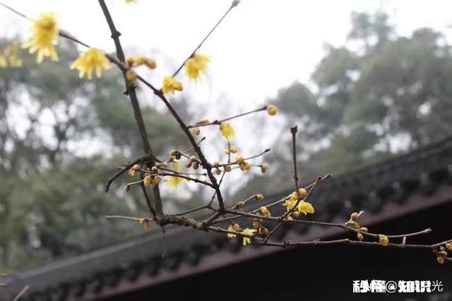 改不了自己的偏执、消不去身上的戾气，要怎么做