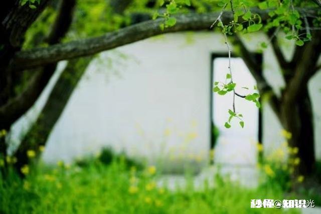 改不了自己的偏执、消不去身上的戾气，要怎么做