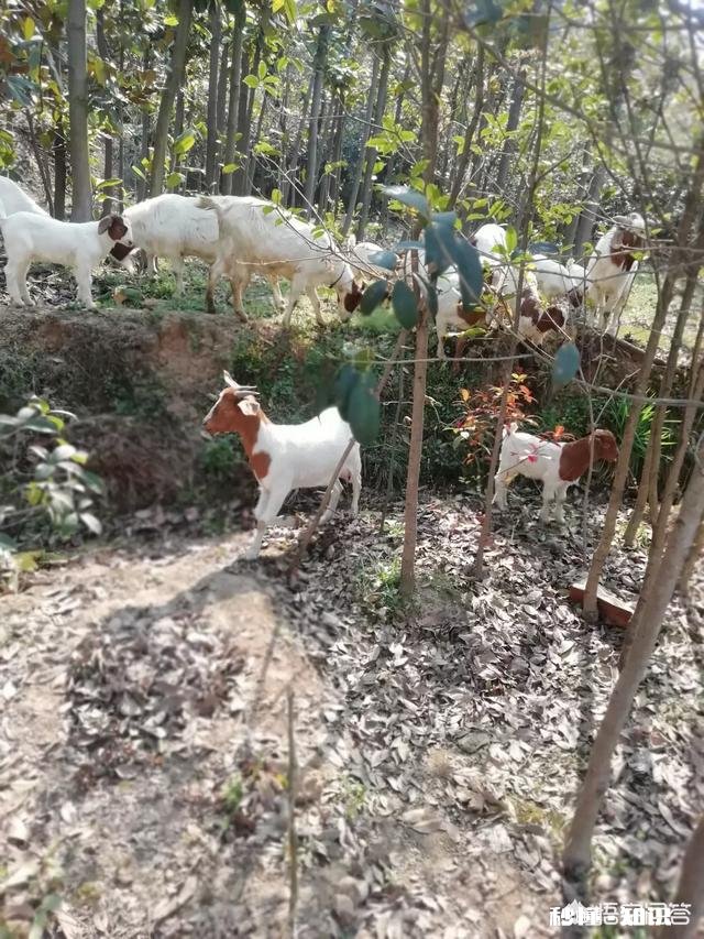 我父亲是种地的农民，我高中没毕业就辍学，子承父业呢还是打工。未来该怎么选择