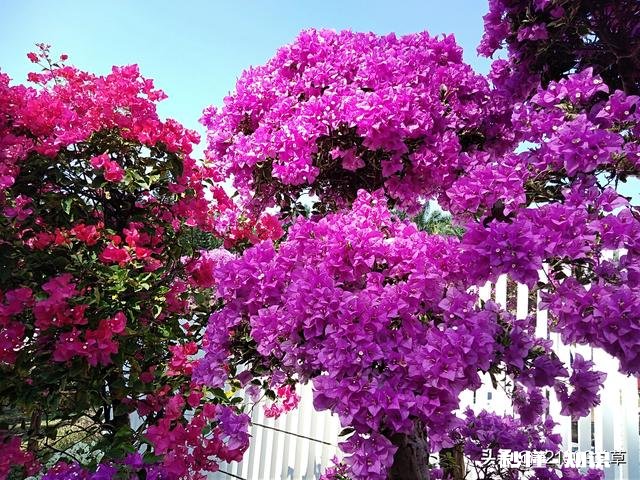 什么时段打新更容易中签