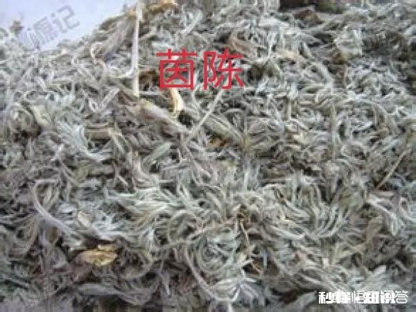 小孩出生15天黄疸13，怎么办