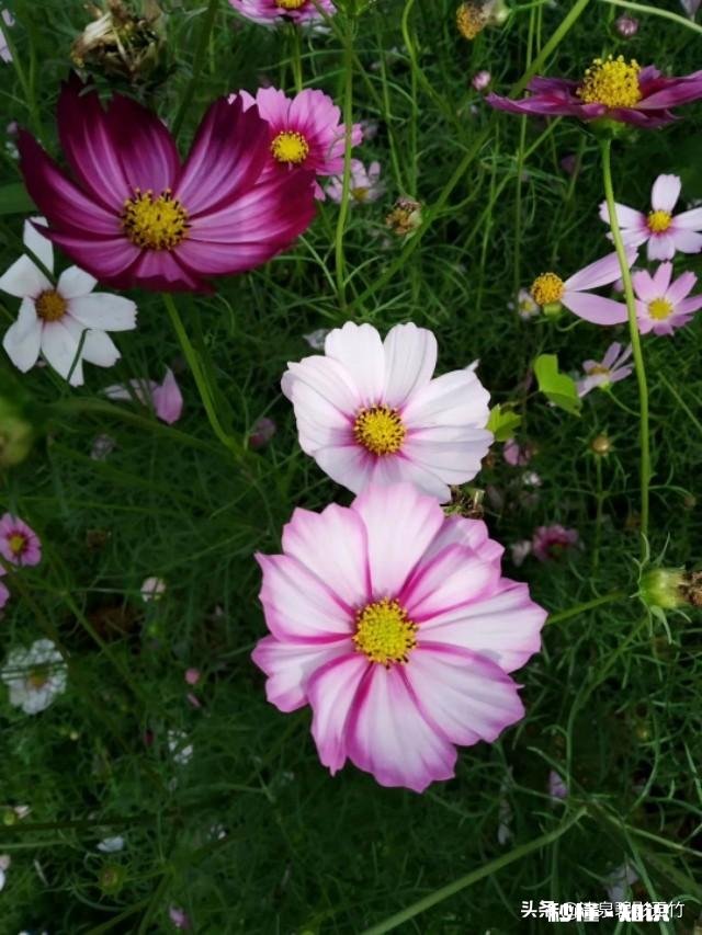 如果在你能力范围内你会给残疾人捐助么有何感受