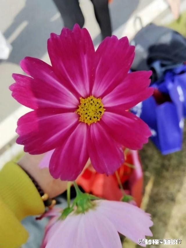 如果在你能力范围内你会给残疾人捐助么有何感受